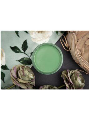 New Sealed Kudzu Dixie Belle Chalk Mineral Paint 8oz